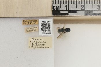 Media type: image;   Entomology 794982 Aspect: Labels